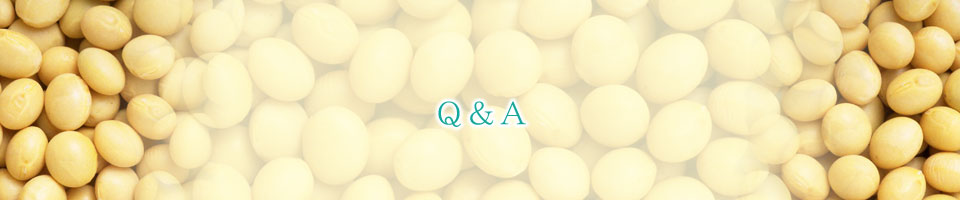 Q&A